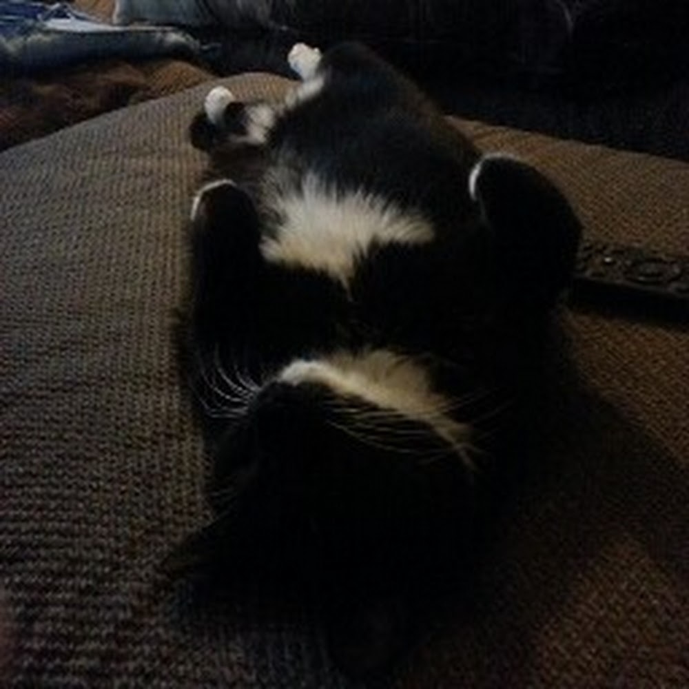 Meet your Posher, Jen